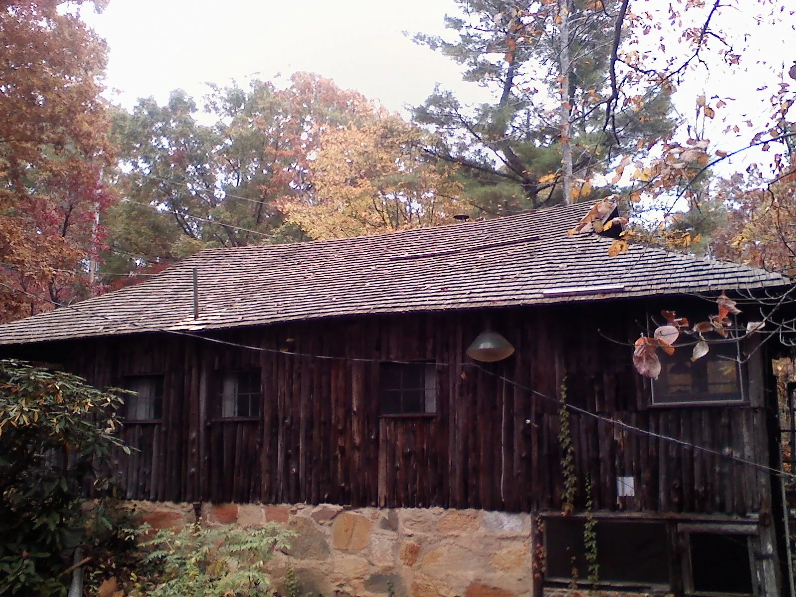 Weathered wood shake roof on a rustic board sided cabin in Veteran