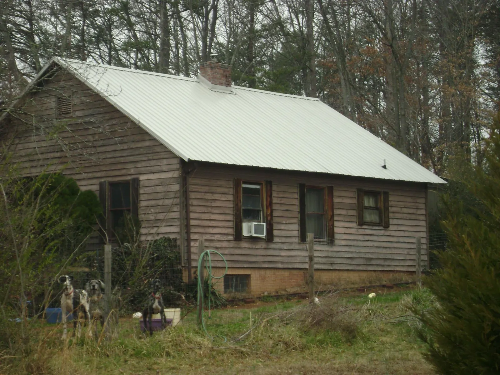 White metal roof on an old wood sided farmhouse, from a Asphalt Shingle Roof Repair job in Veteran
